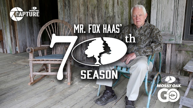 Mr. Fox Haas • 70th Season • Short Film