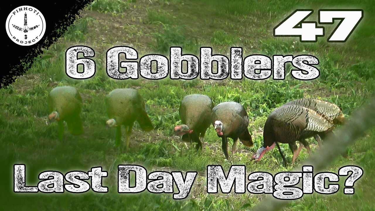 Pinhoti 2025 Ep 47 • Pinhoti Project