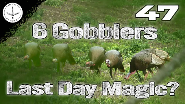 Pinhoti 2025 Ep 47 • Pinhoti Project