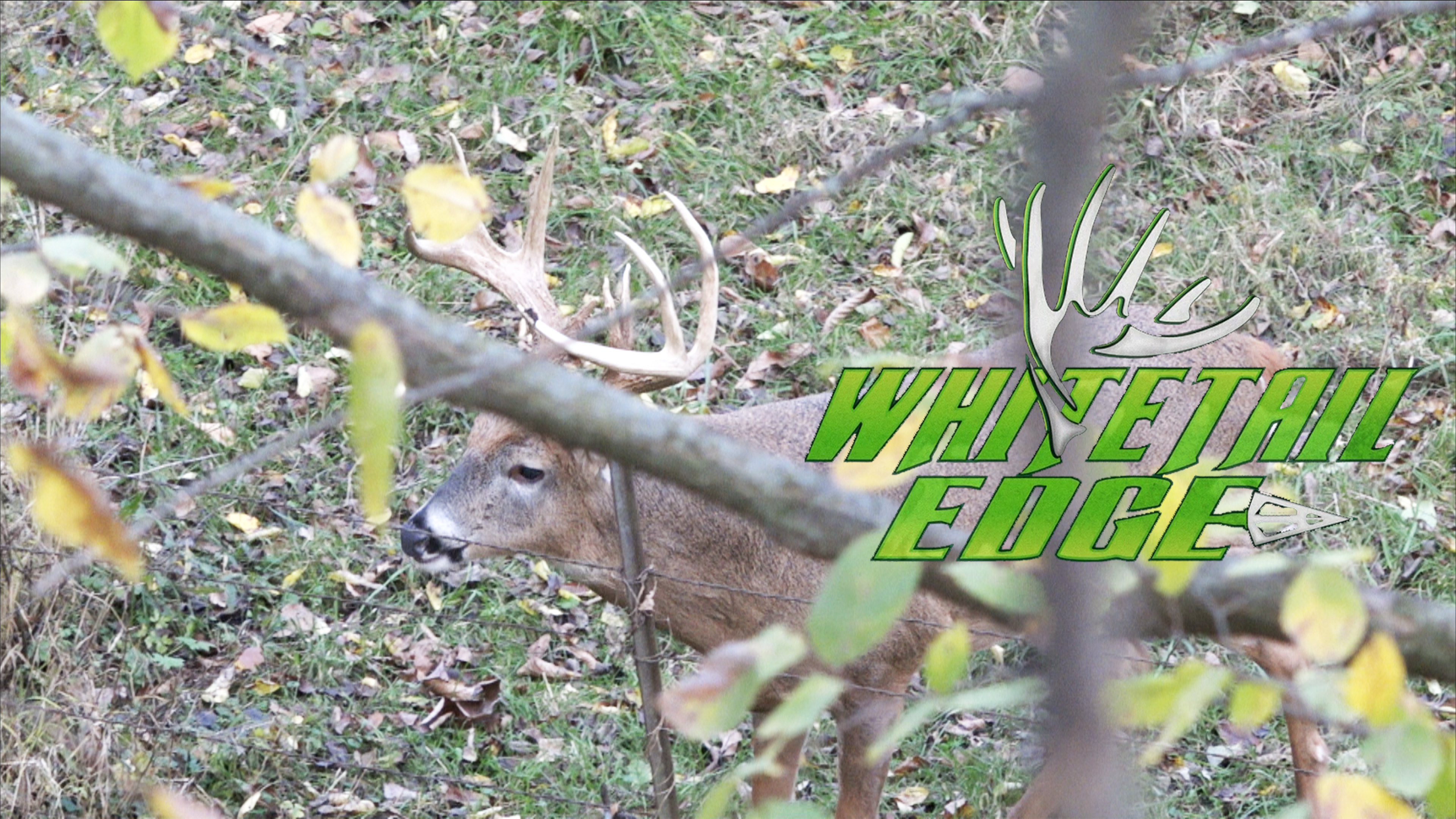 Tough Pass • Whitetail Edge