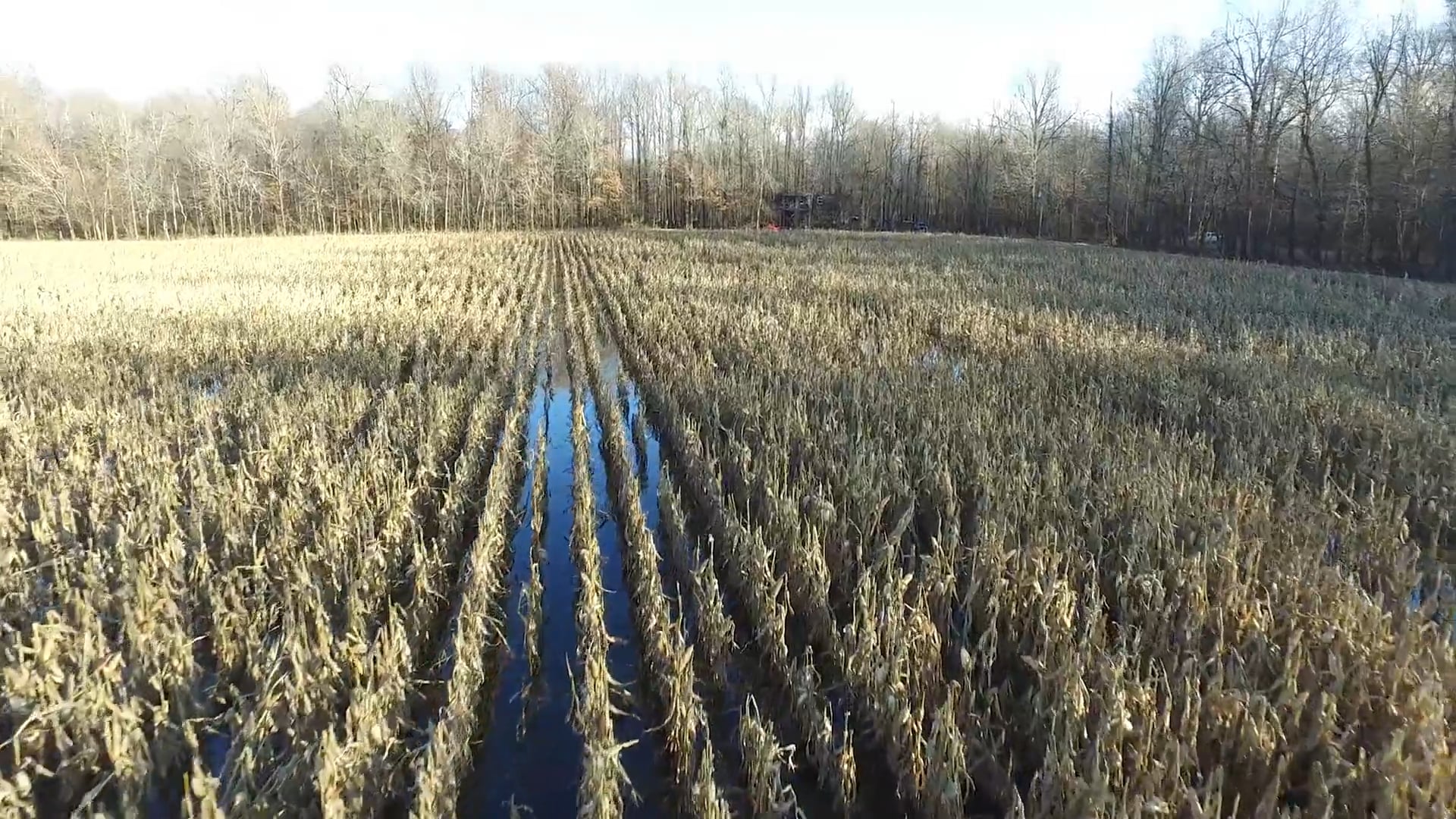 Big Spread • DU TV