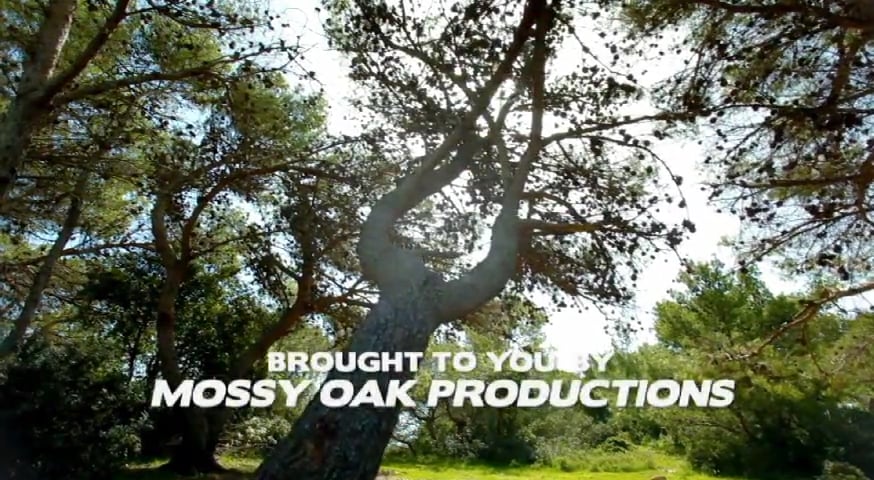 A Super Hunt • Kids with rifles in Mississippi