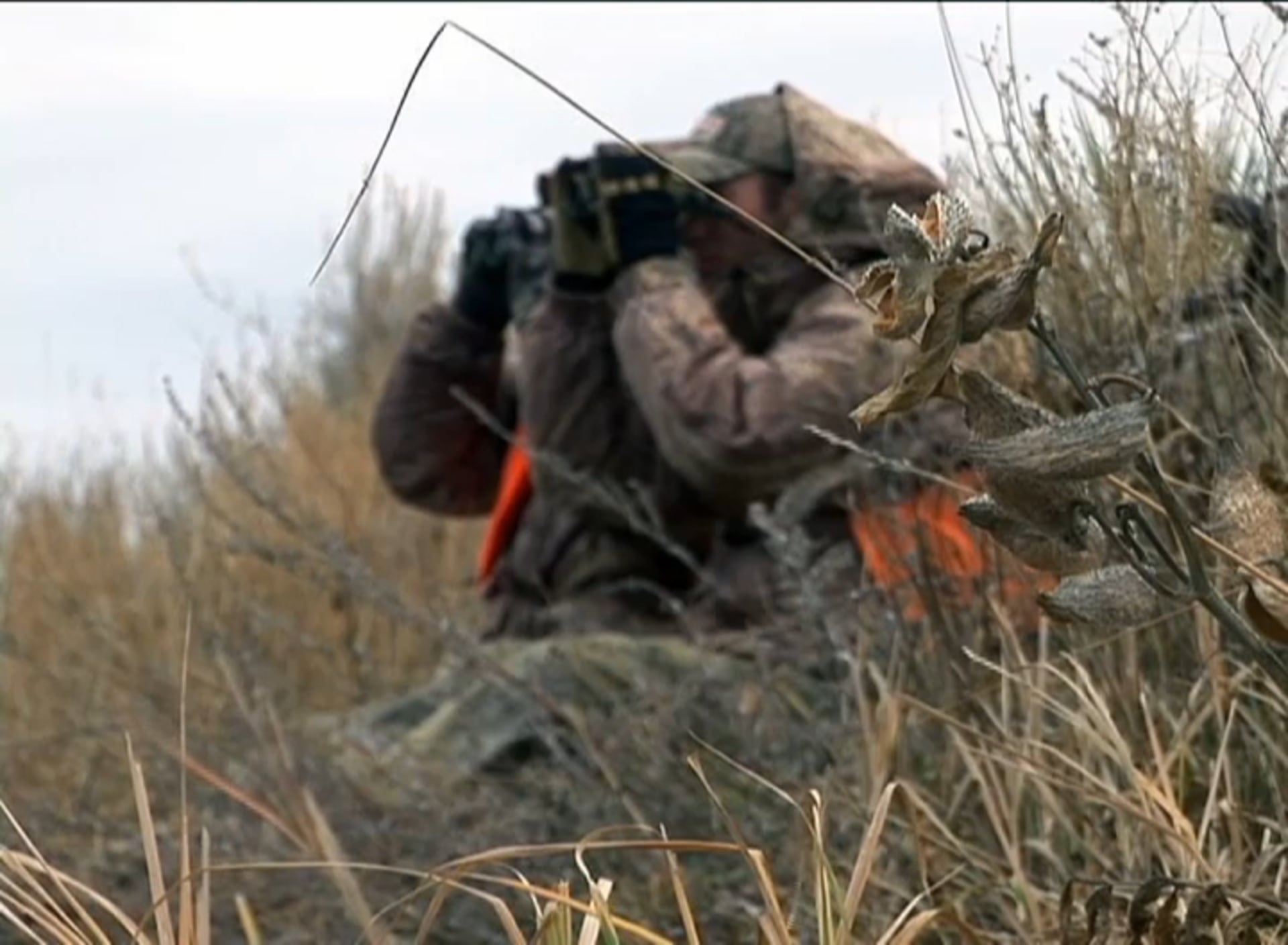 In a Rut • Whitetails in Montana