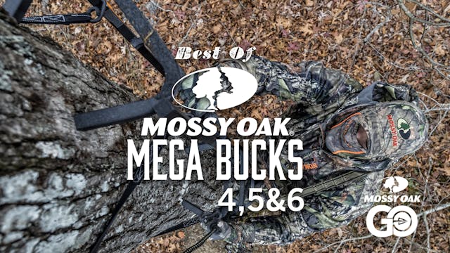 Best of Mega Bucks 456