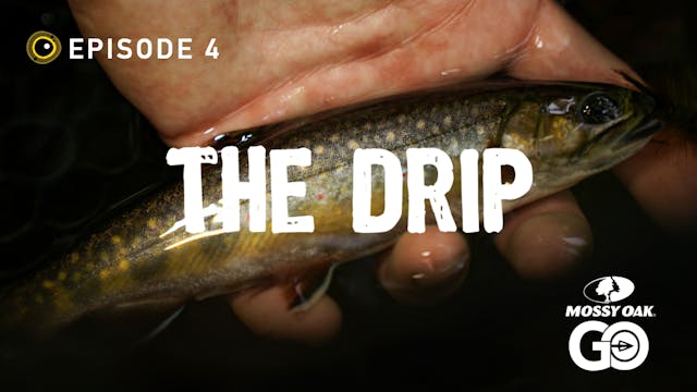 Episode 4 • The Drip