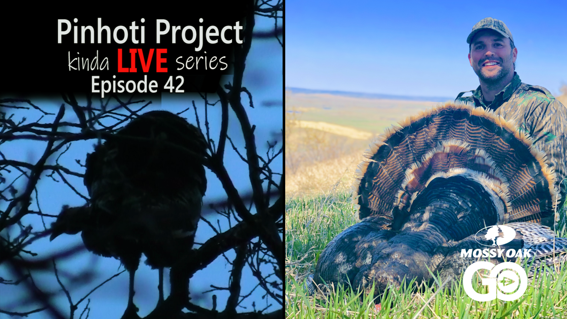 Kinda Live • Episode 42 • Pinhoti Project