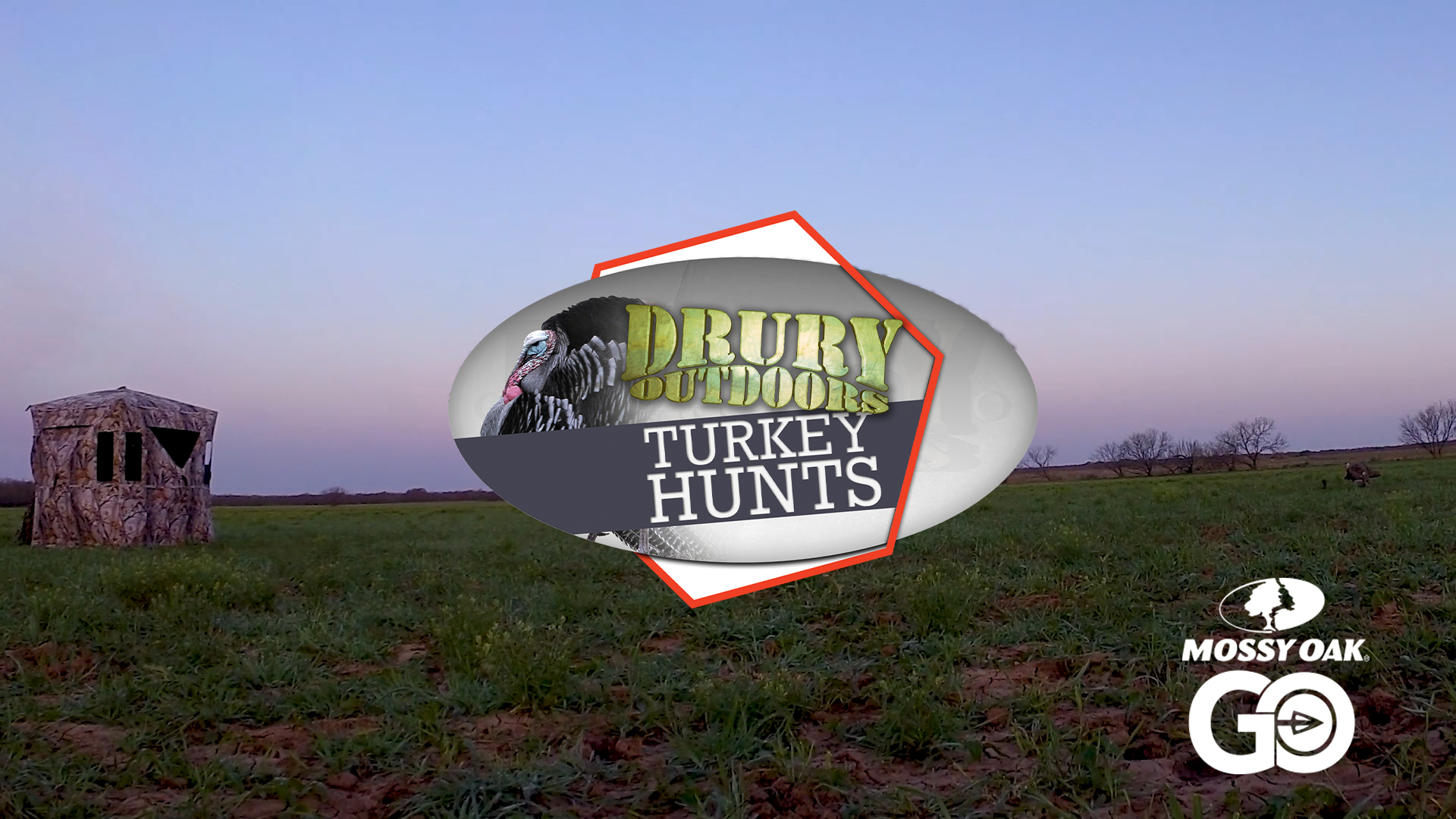 Mark Drury and Friends Lasso a Lonestar Longbeard!  • DOD TV