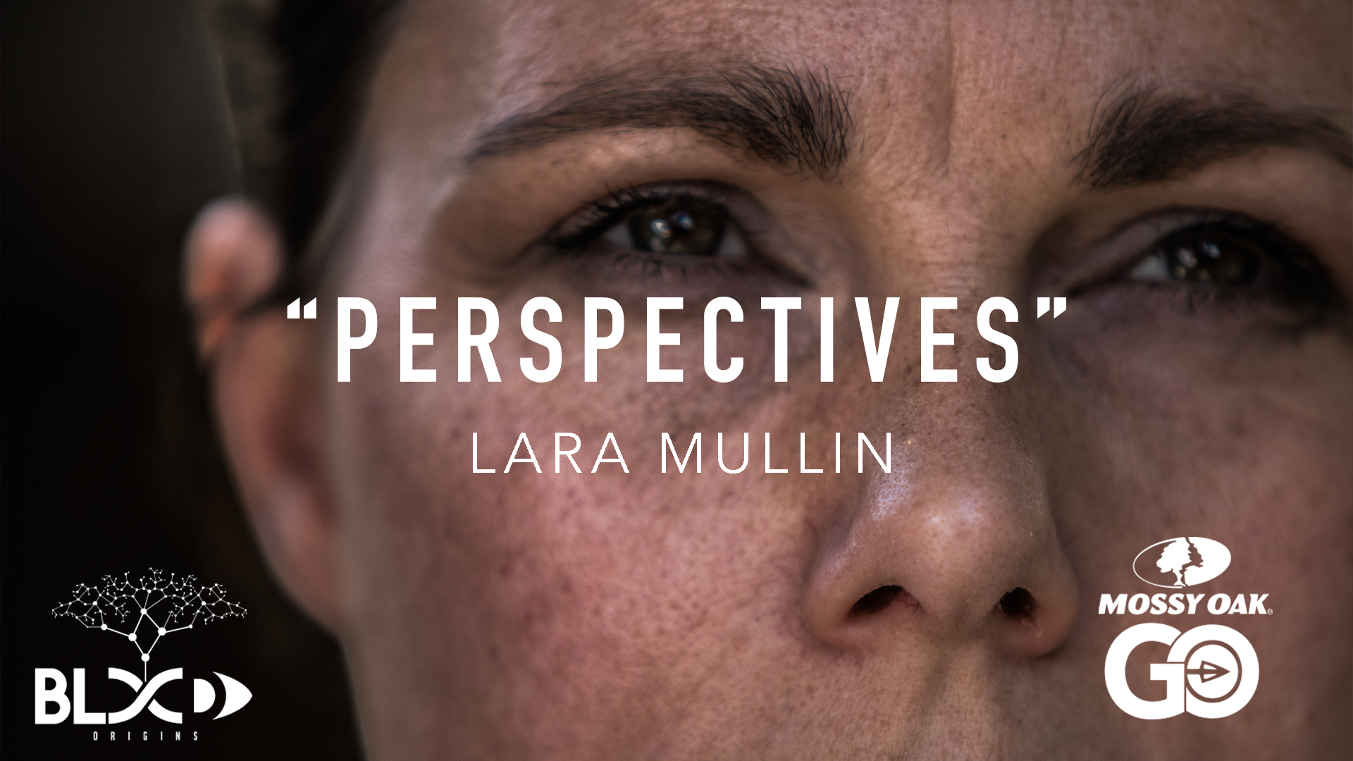 Perspectives Part 1 • Blood Origins