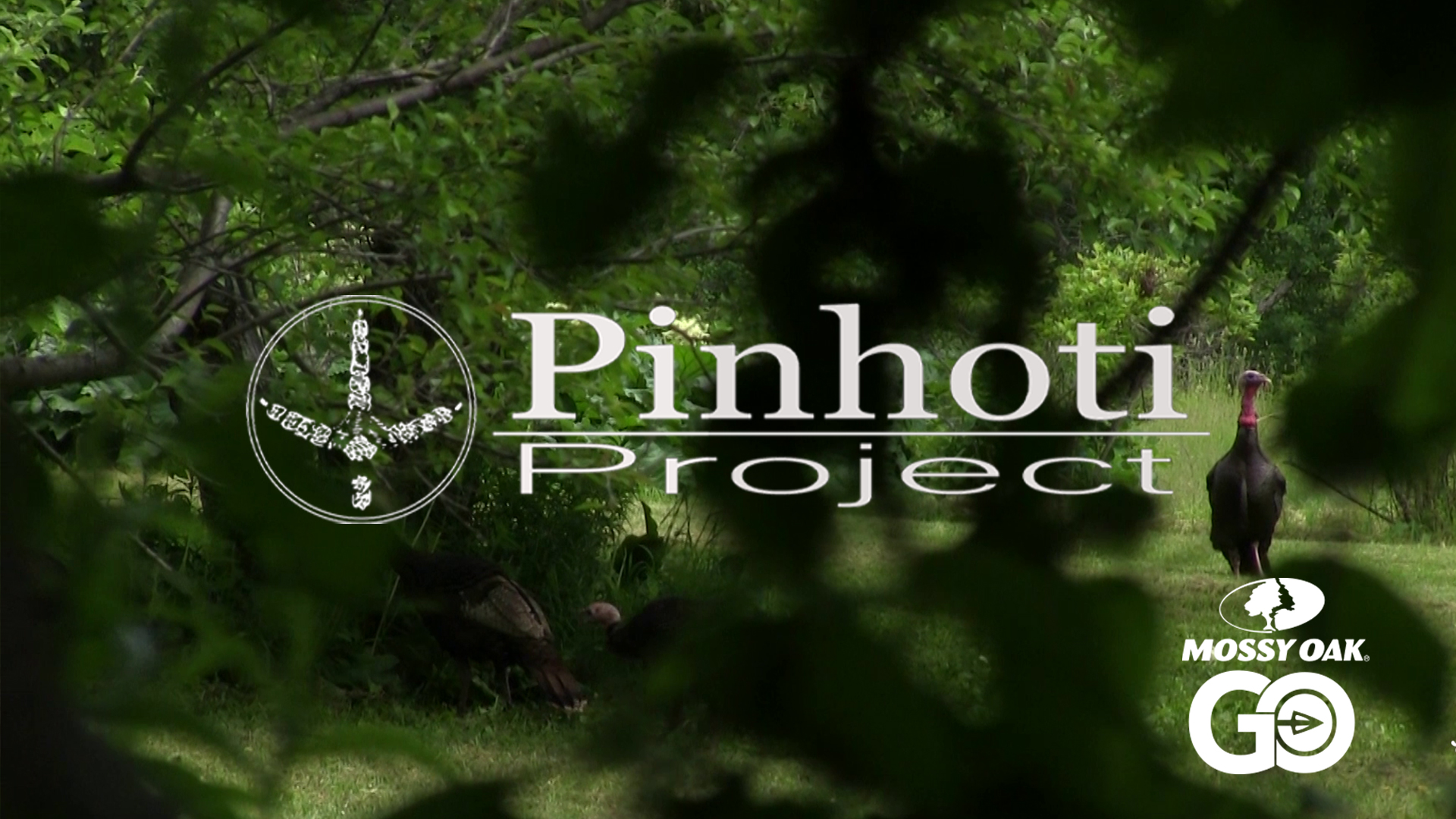 Last Day Maine Gobbler • Pinhoti Project Day 75