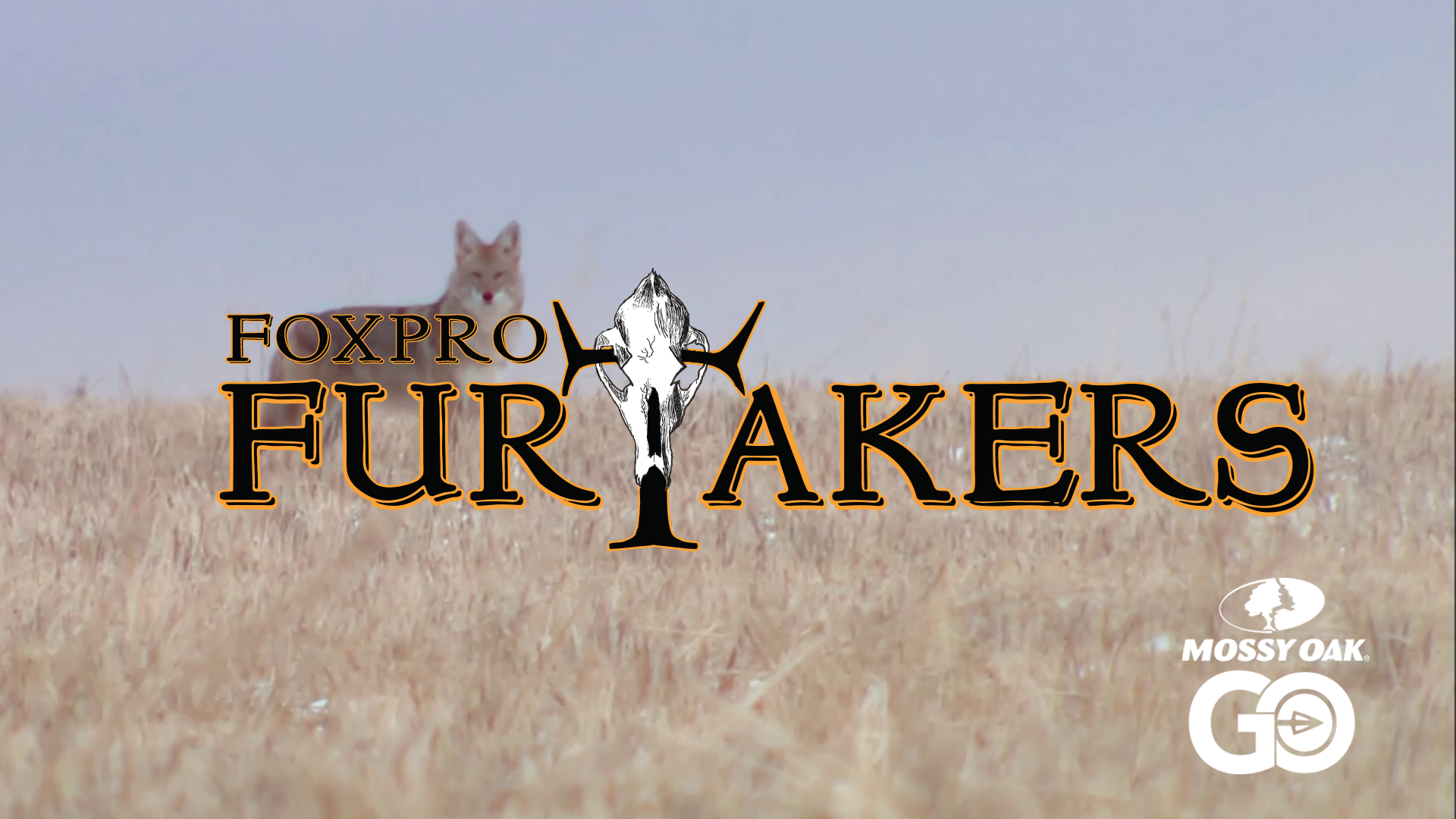 FOXPRO'S Furtakers