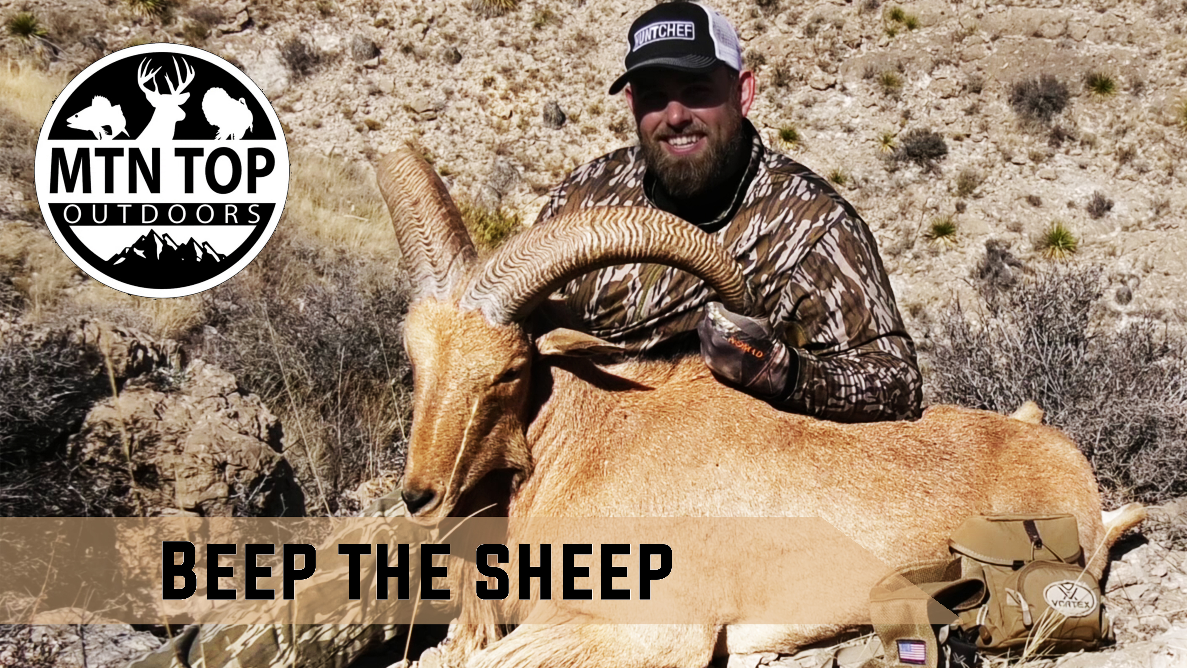 Beep the Sheep • MTN.Top Outdoors