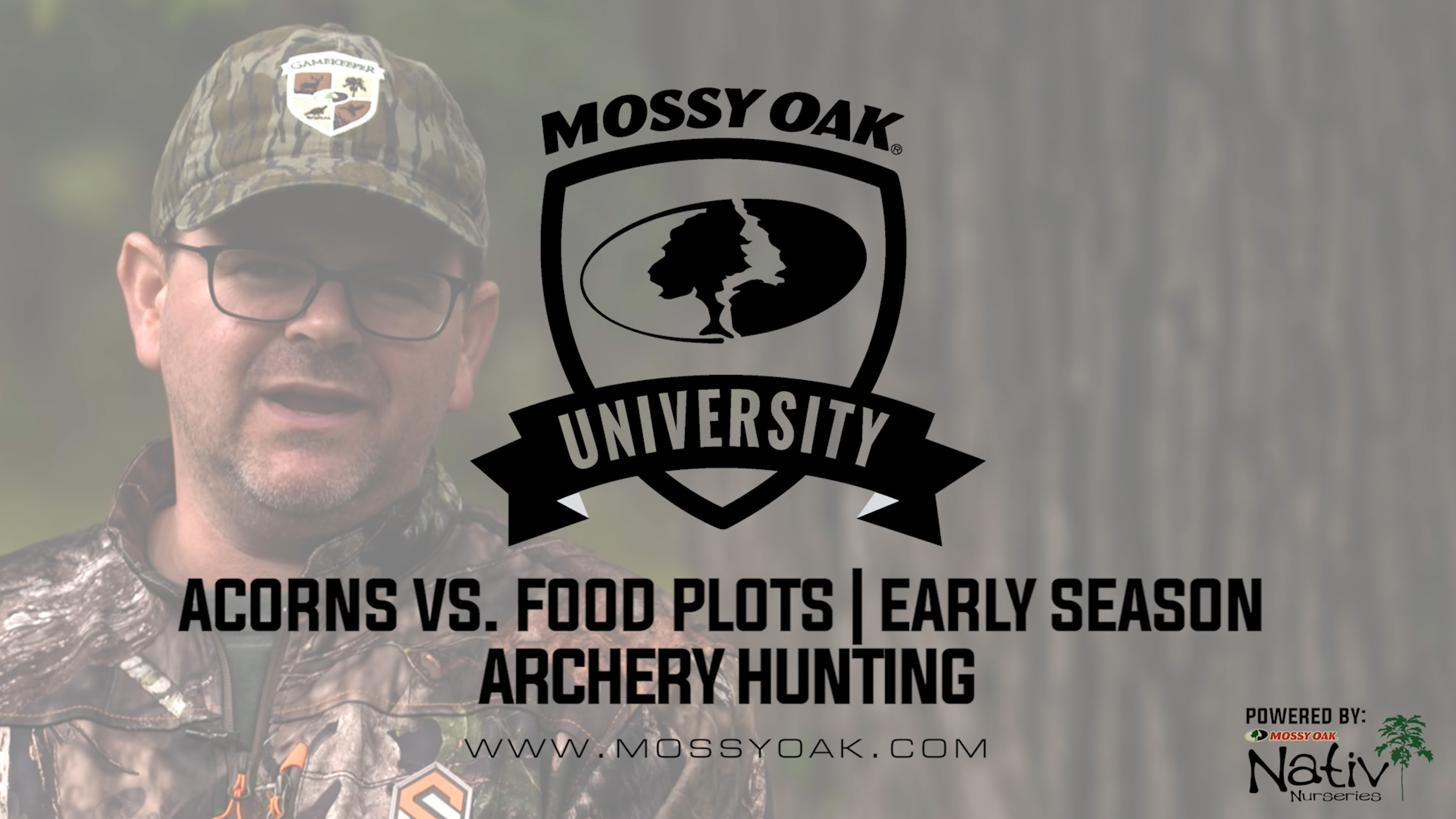 Hunting Food Plots vs. Acorns in Early Season