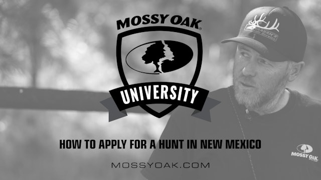 How to Apply in New Mexico