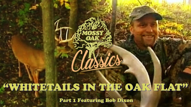 Whitetails in the Oak Flat Pt1 w/ Bob Dixon • Mossy Oak Classics