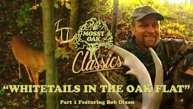 Whitetails in the Oak Flat Pt1 w/ Bob...