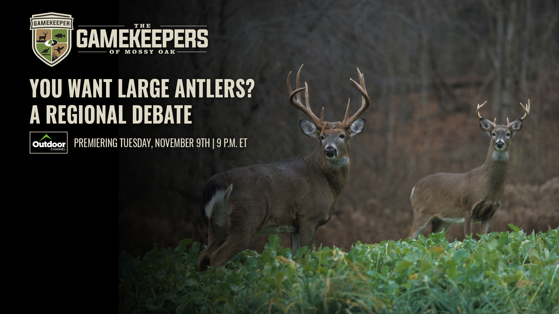 You Want Large Antlers? A Regional Debate • Gamekeepers