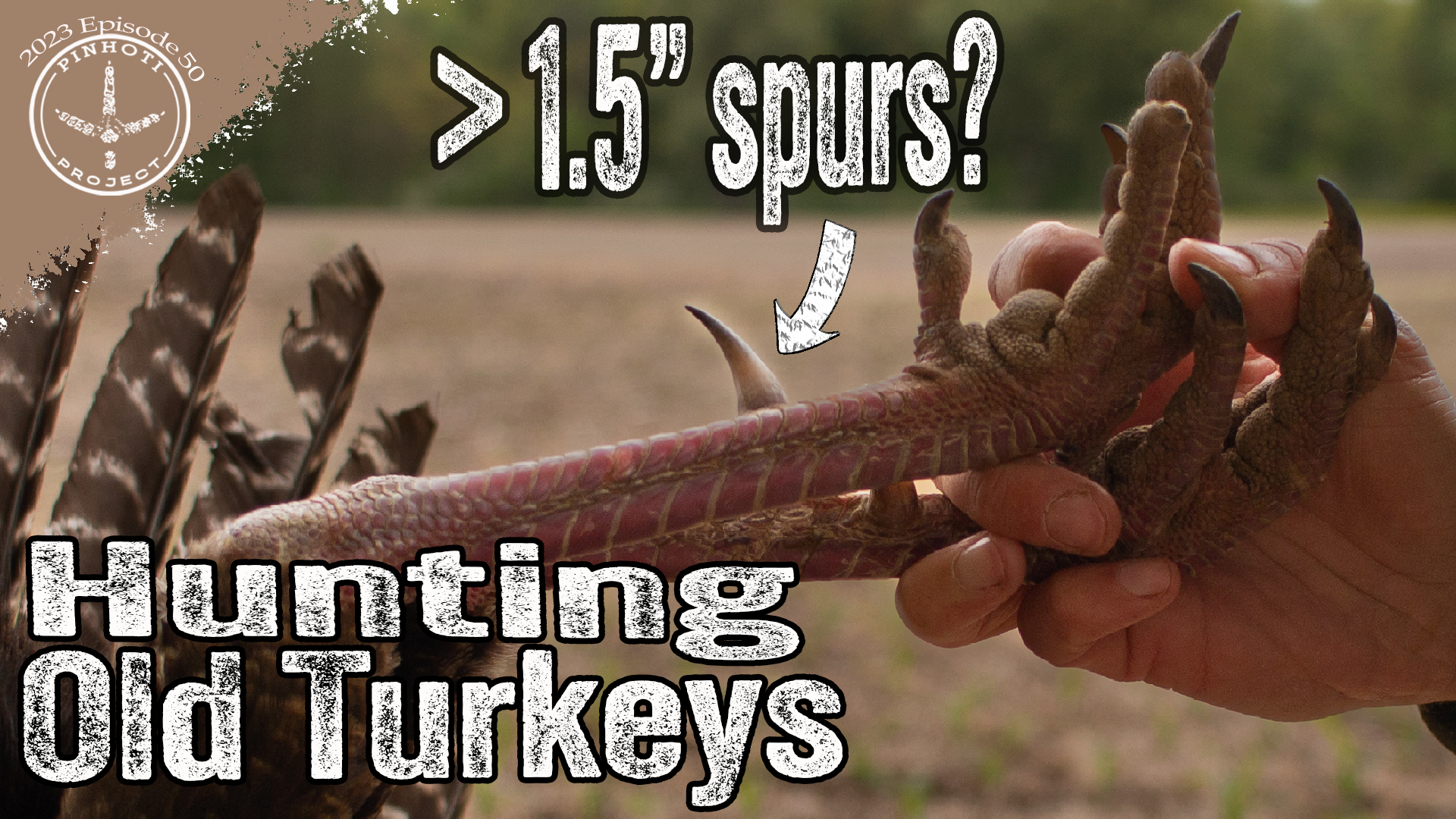 Pinhoti 2023 Ep 50 • Pinhoti Project