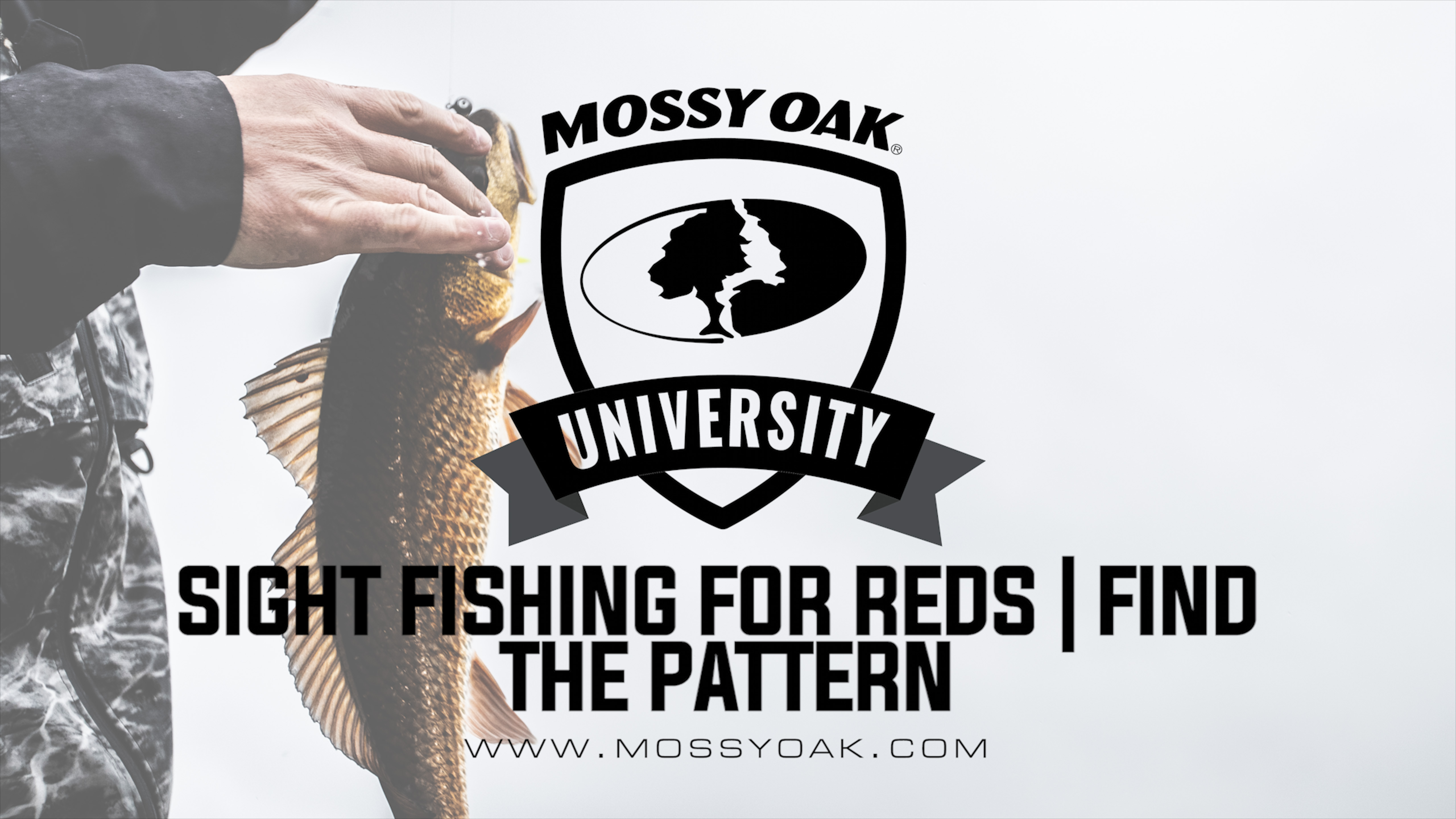 How To Sight Fish For Redfish | Inshore Fishing