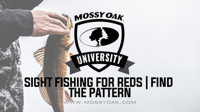 How To Sight Fish For Redfish | Insho...