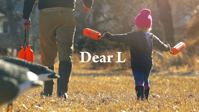 Dear L • A Labrador Inspired Film