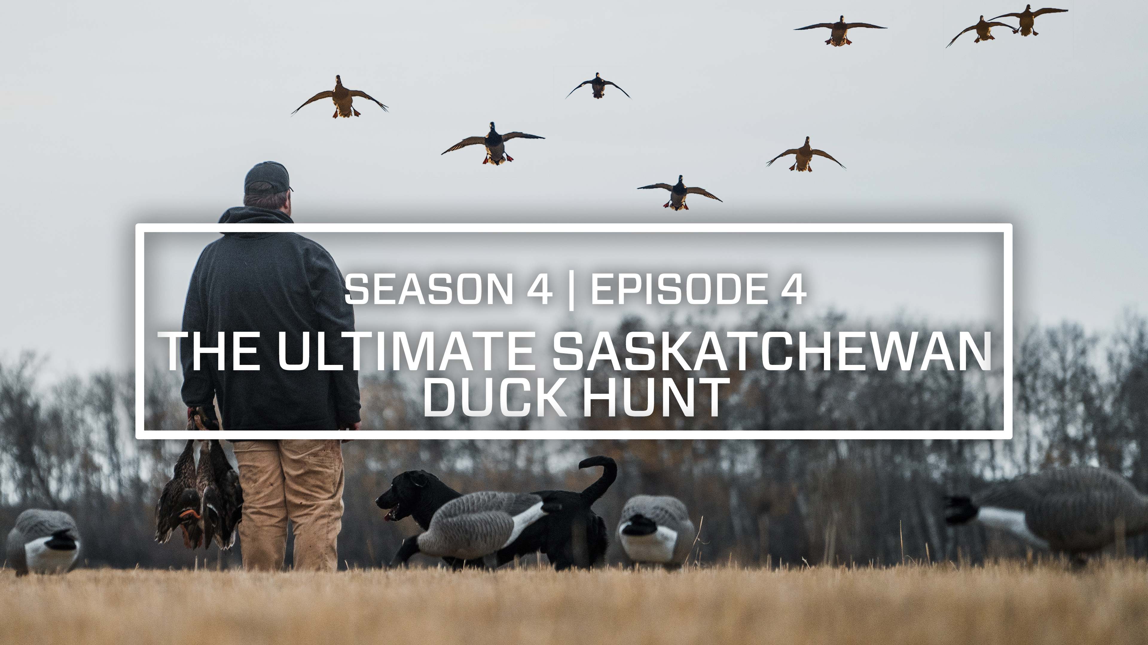 Last Pass Episode 4 • The Ultimate Saskatchewan Duck Hunt