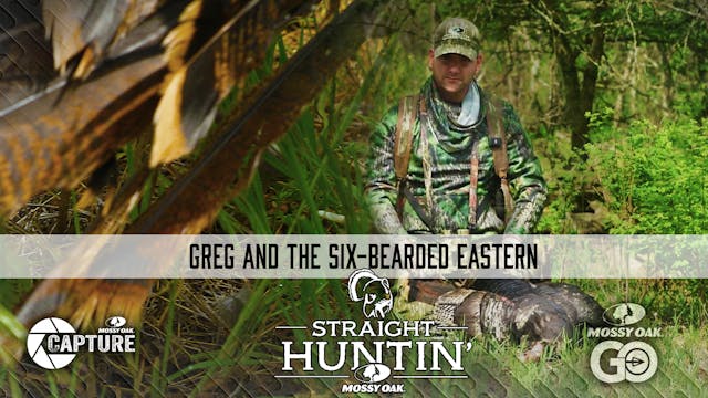 Greg and The Six-Bearded Eastern • St...