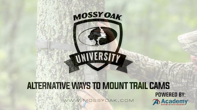 Alternative Ways To Mount Trail Cameras