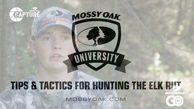 Tips and Tactics for Hunting the Elk Rut  • Mossy Oak Univeristy