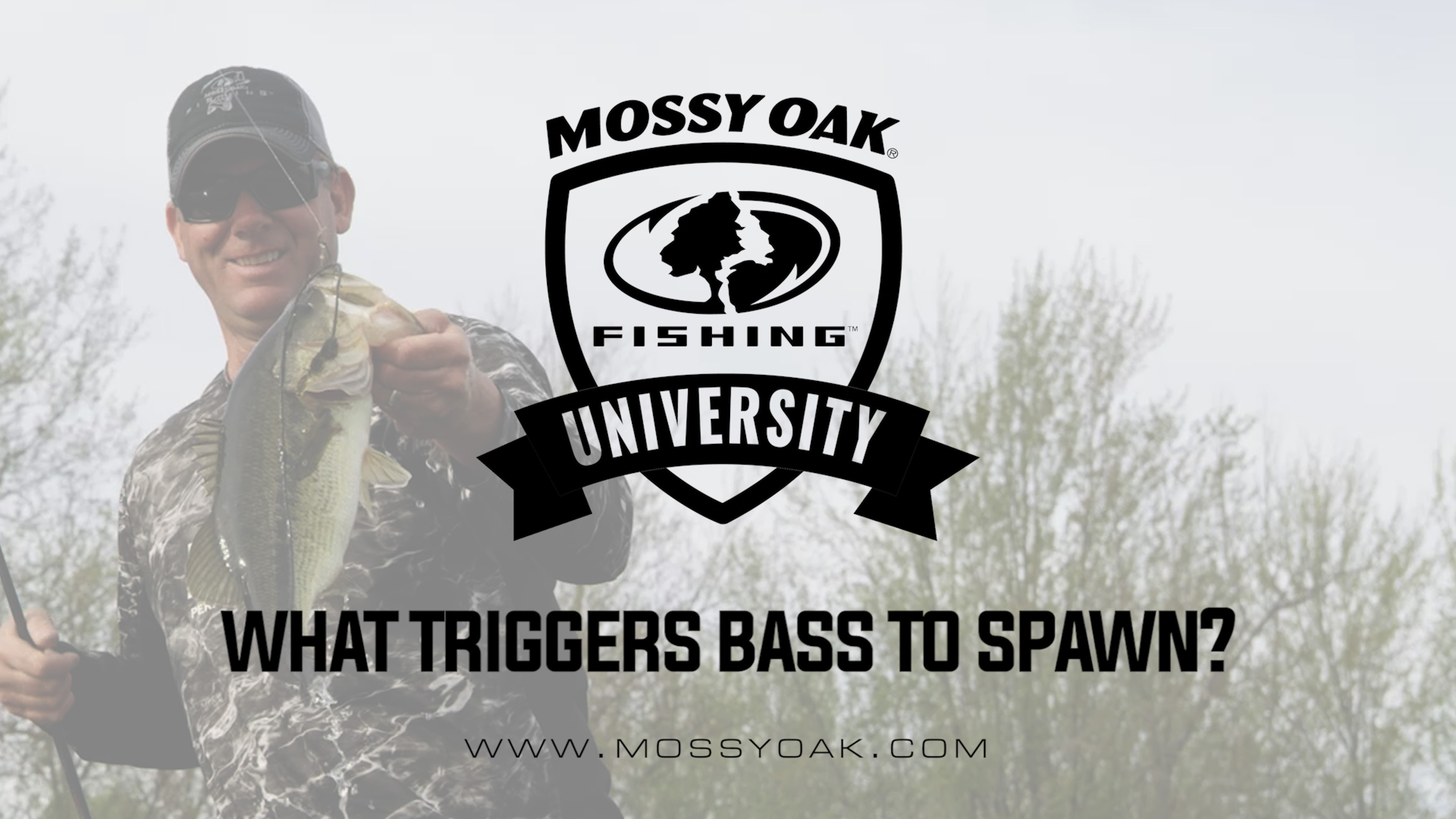 KVD - What Triggers Bass to Spawn