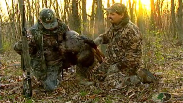 Hardwood Gobblers