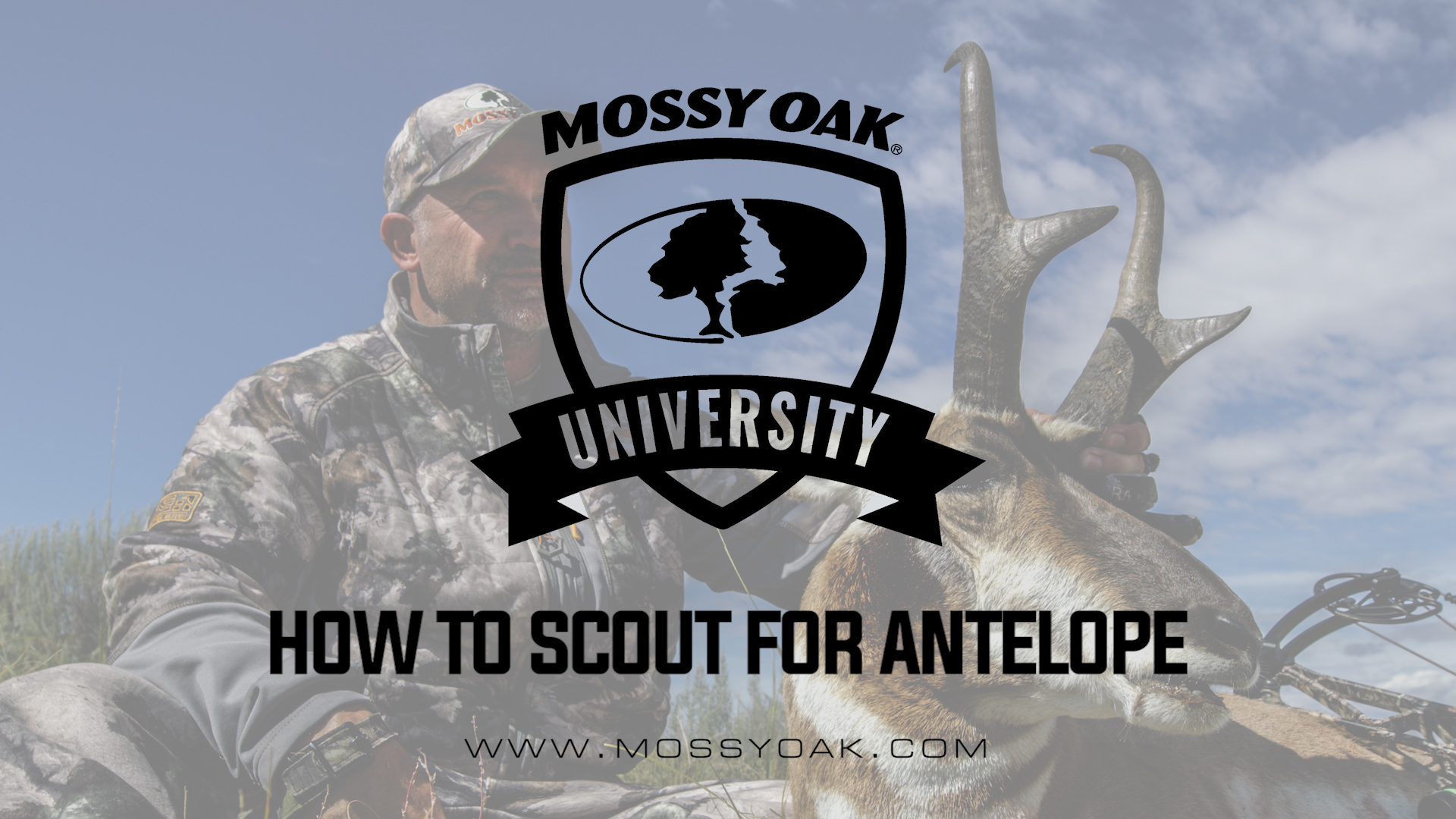 How To Scout For Antelope