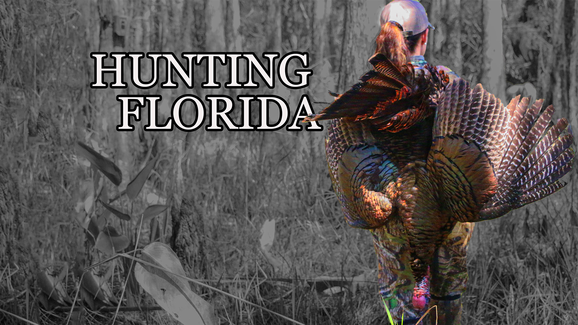 Takeaways • Hunting Florida • Pinhoti Project