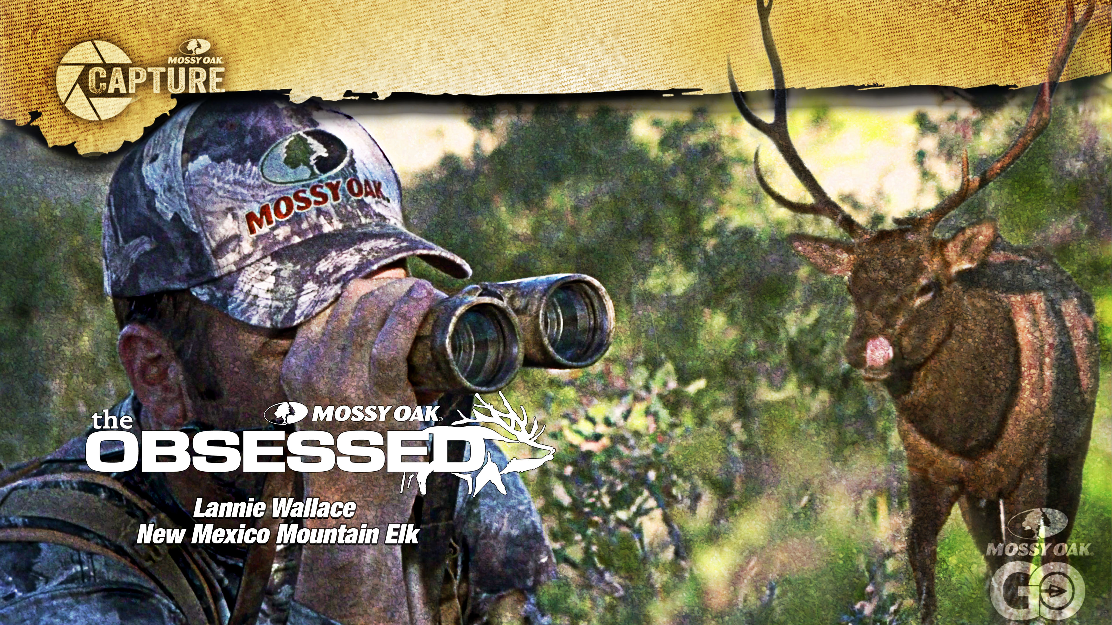 The Obsessed • New Mexico Mountain Elk