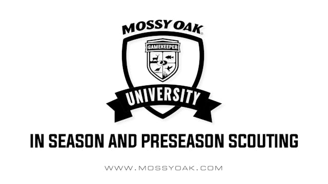 In Season and Preseason Scouting