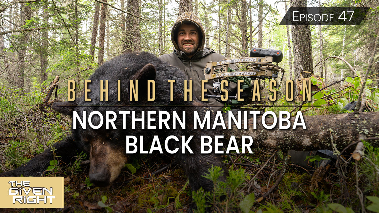 Northern Manitoba Archery Black Bear Hunt • Behind the Season