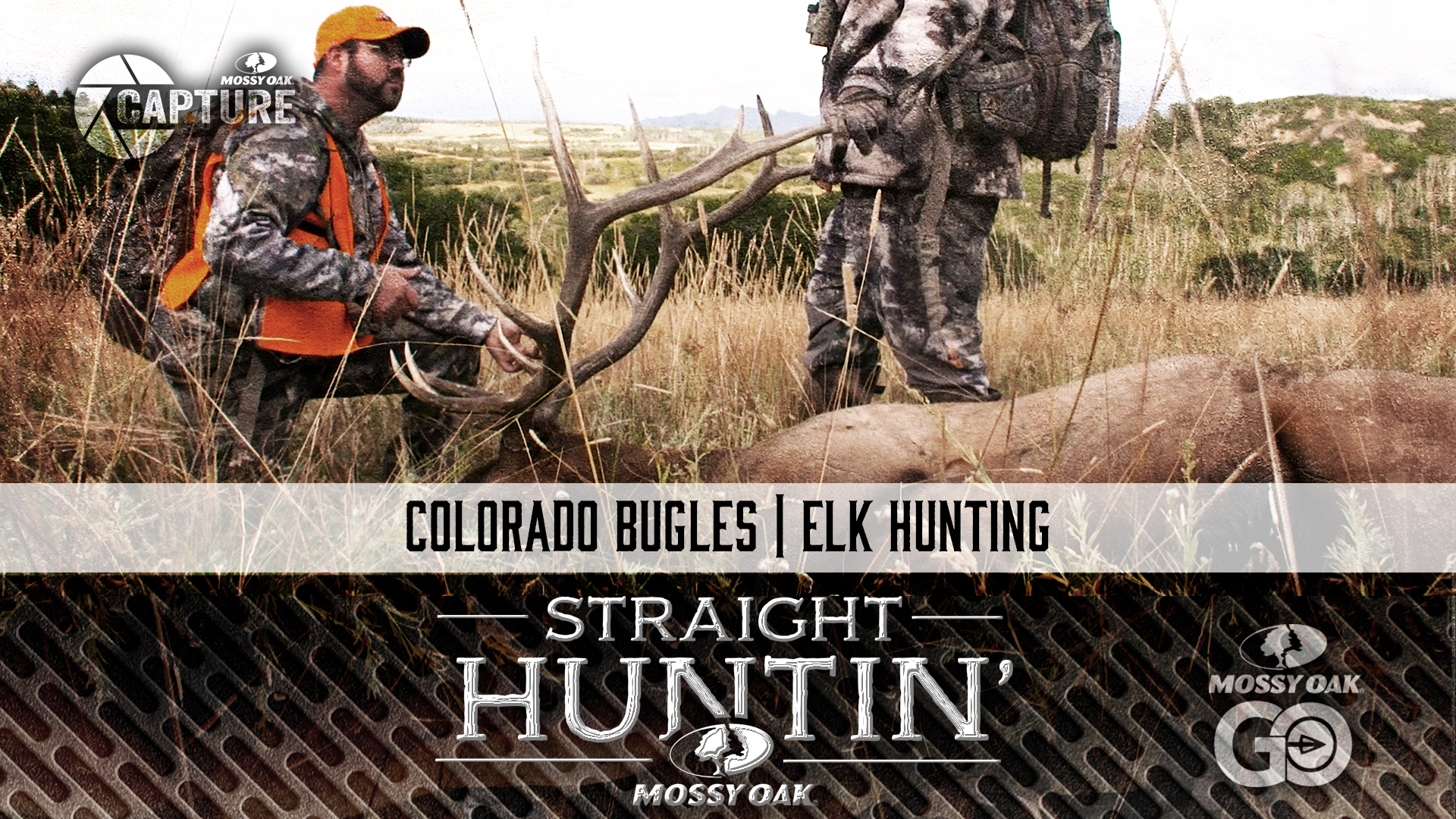 Colorado Bugles • Elk Hunting • Straight Huntin'