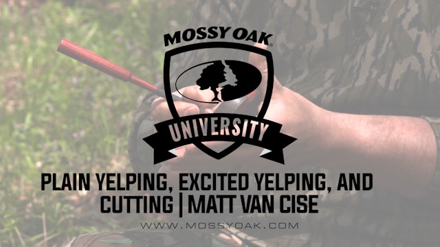Matt Van Cise - Plain Yelping, Excited Yelping, and Cutting on a Pot Call