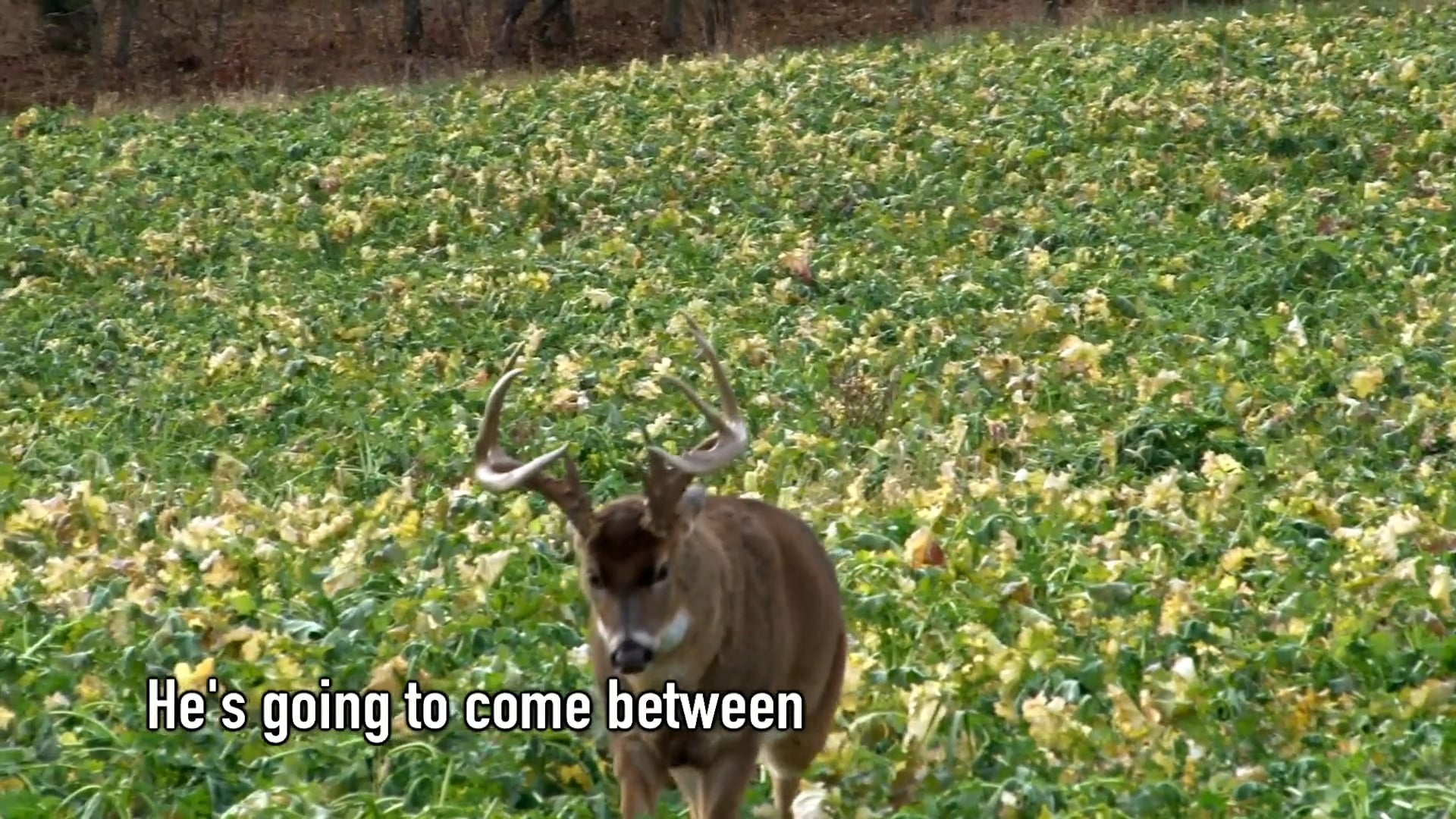 This Is What We’re Here To Do • NBK Episode 6 S8