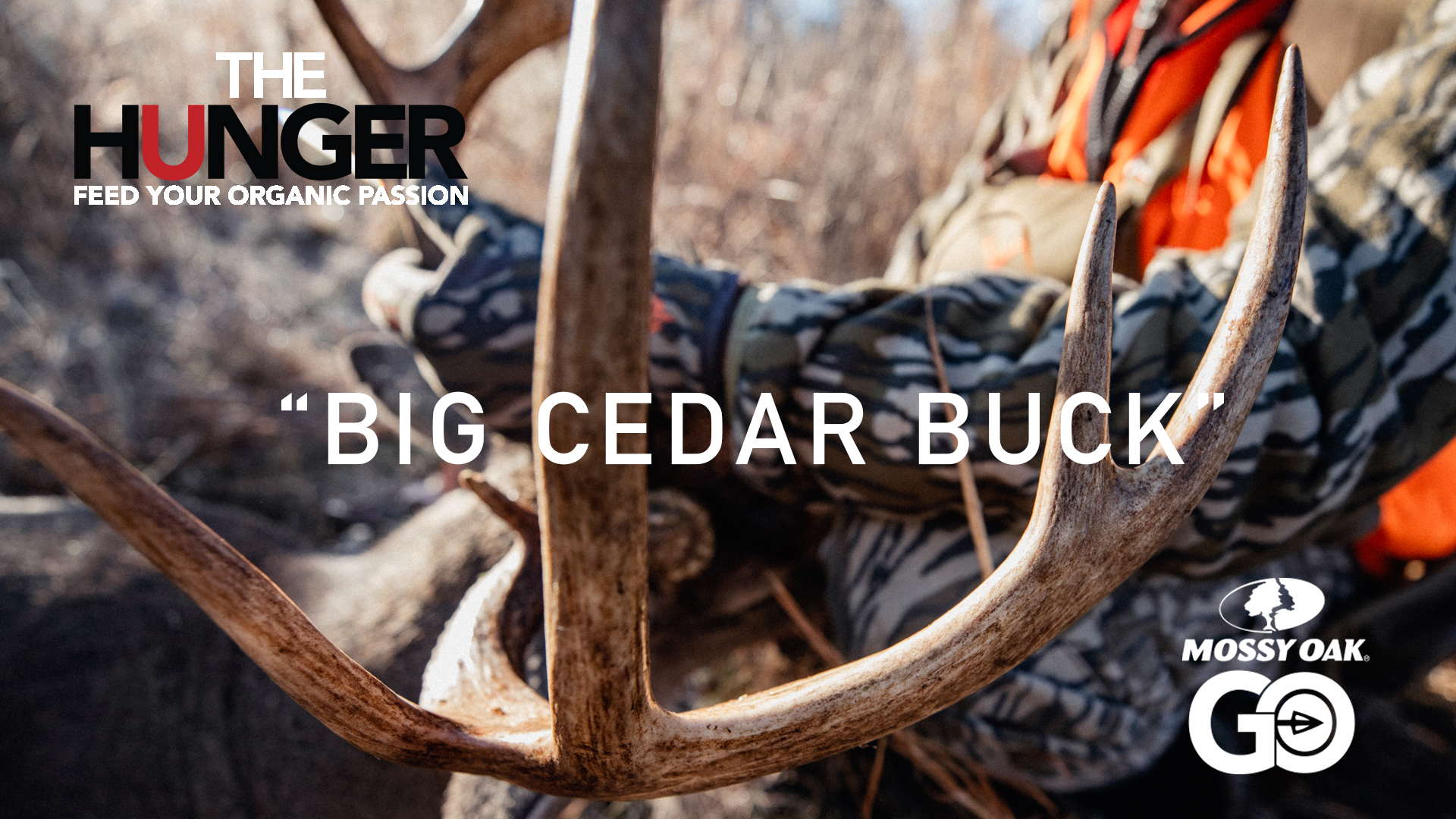 Big Cedar Buck • The Hunger