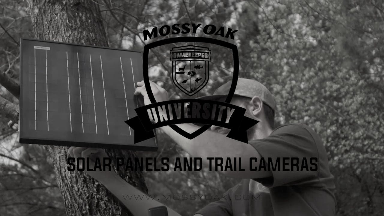 Gamekeeper Spartan Camera Solar Panel • Mossy Oak University Mossy Oak GO