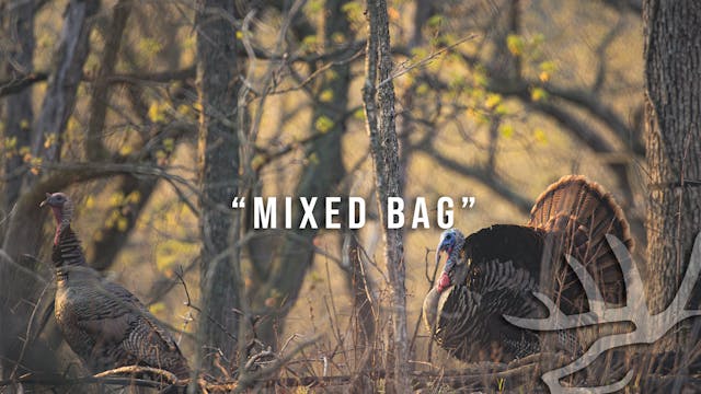 Full Strut • Episode 10 • Mixed Bag