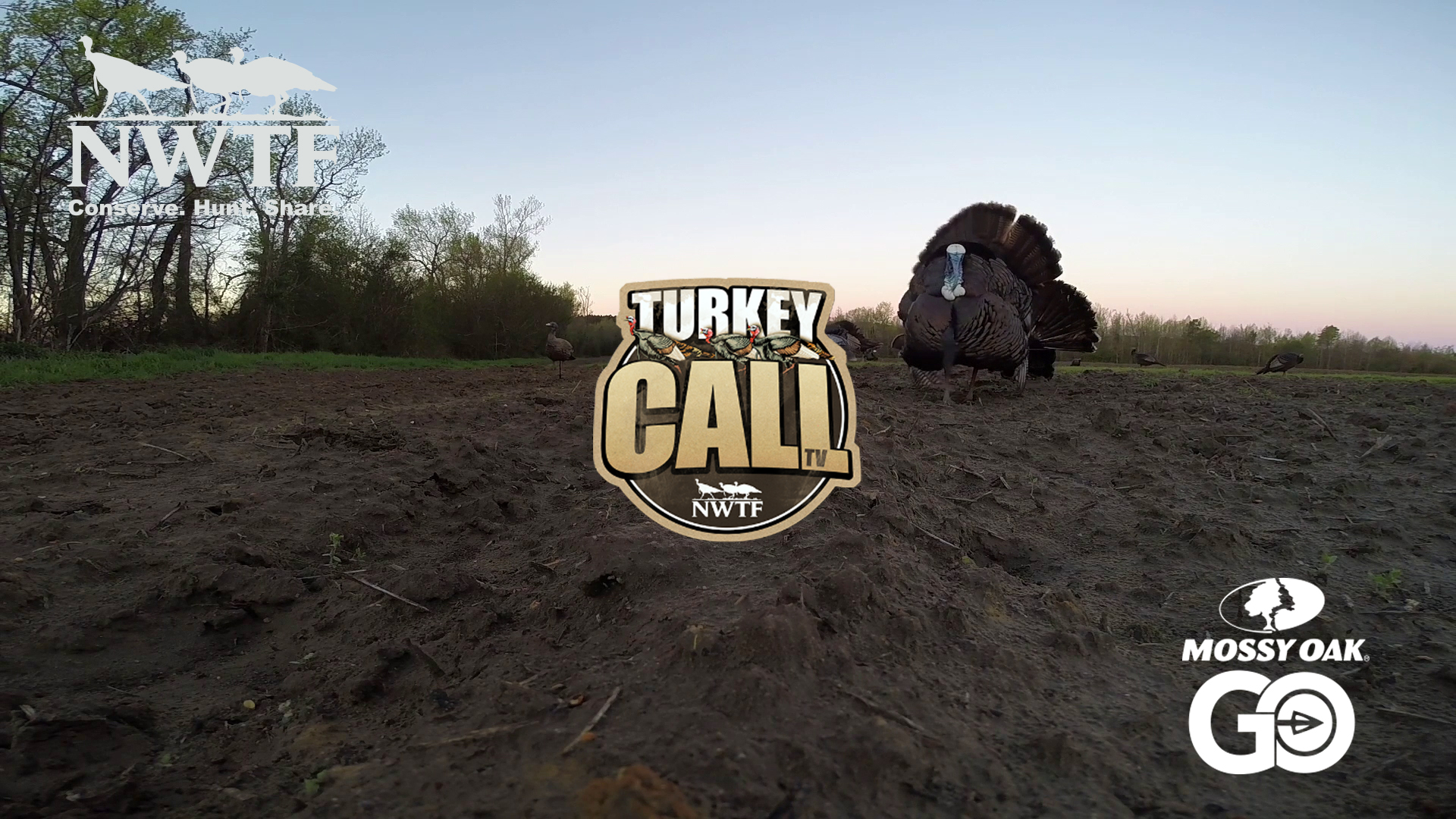 Gone to Carolina • NWTF