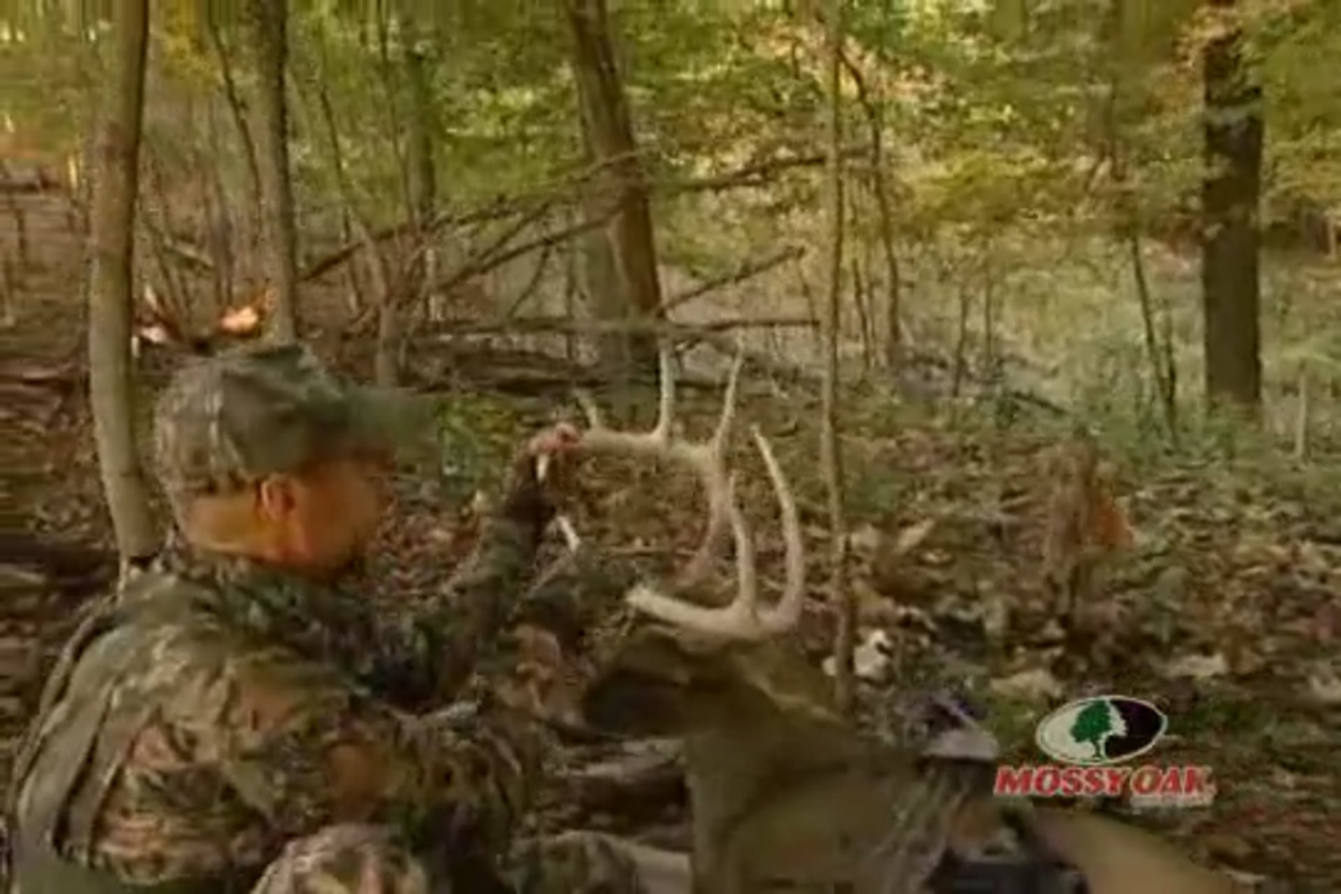 Spirits of the Wild • Bob Dixon Bow Hunting in Iowa