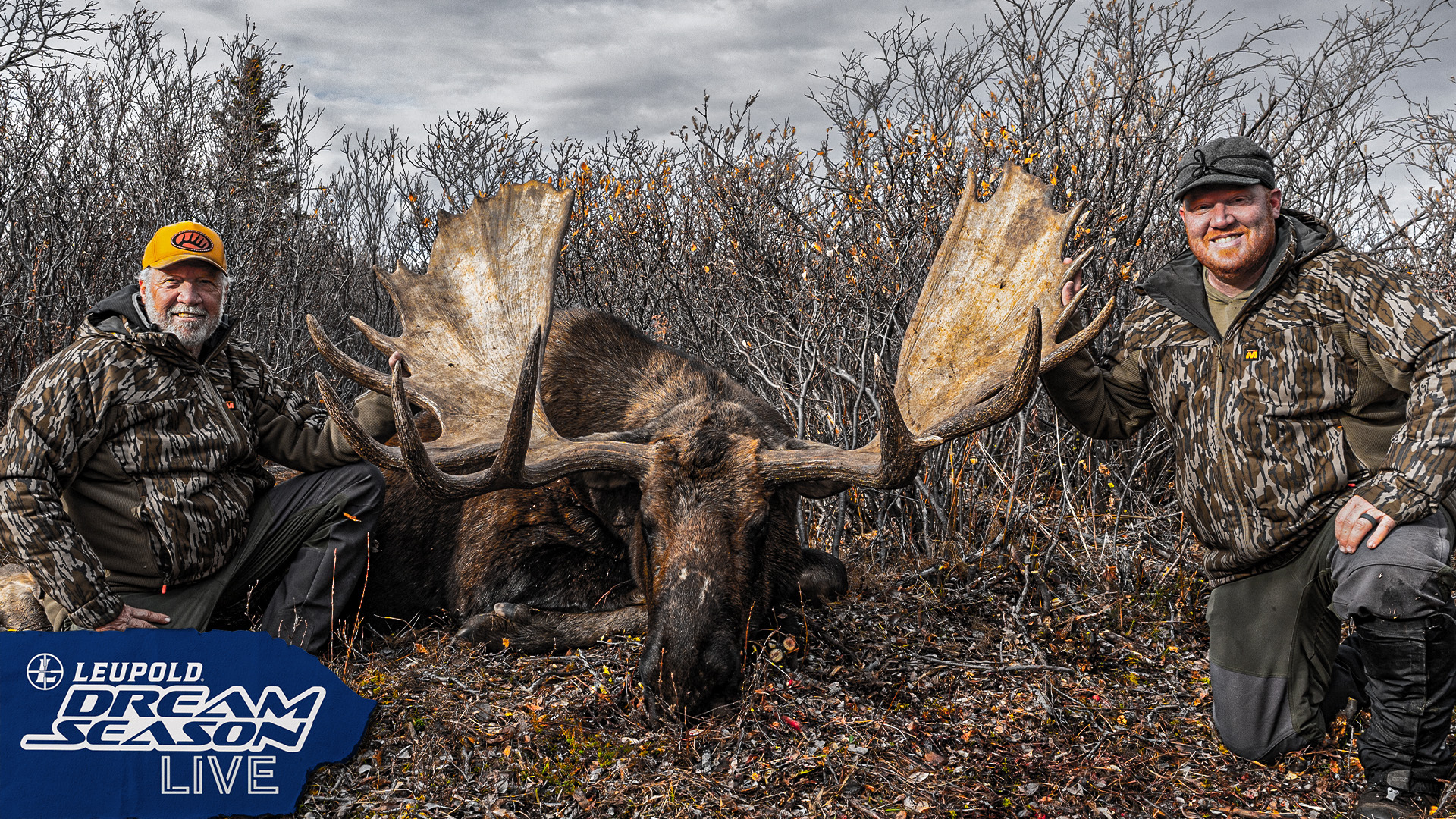 Just Go. An Adventure Hunting Giant Yukon Moose | Dream Season Live