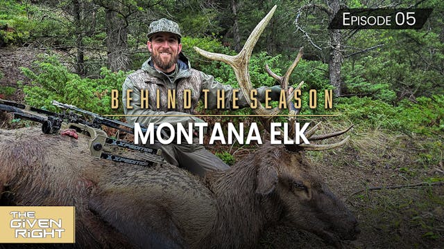 Montana Elk • Behind the Season
