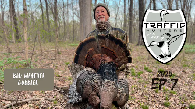 Bad Weather Gobbler • Traffic Hunters