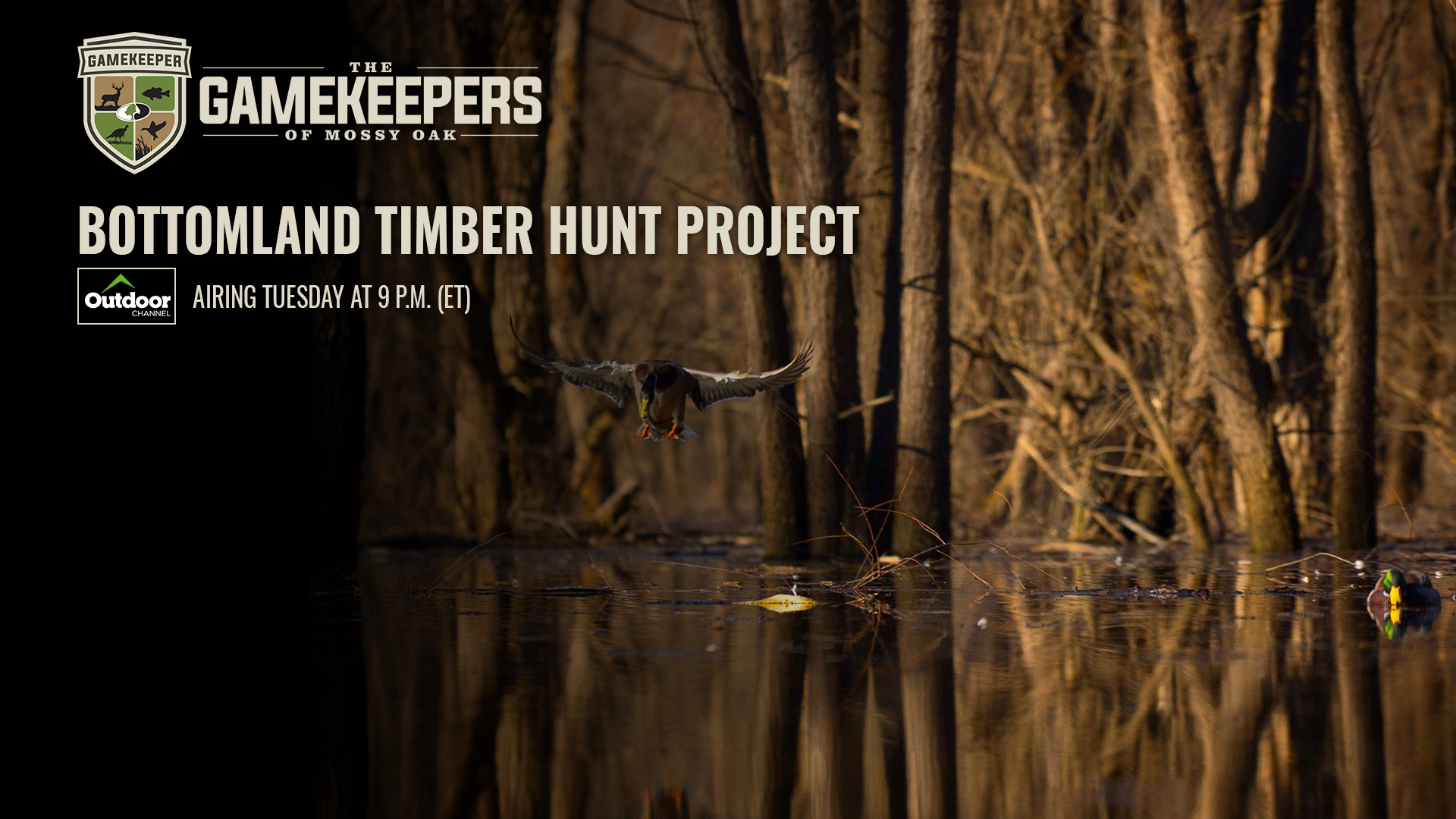 Bottomland Timber Hunt Project • Gamekeepers