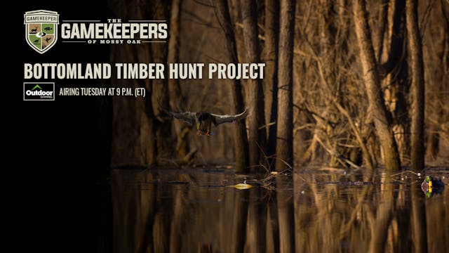 Bottomland Timber Hunt Project • Game...