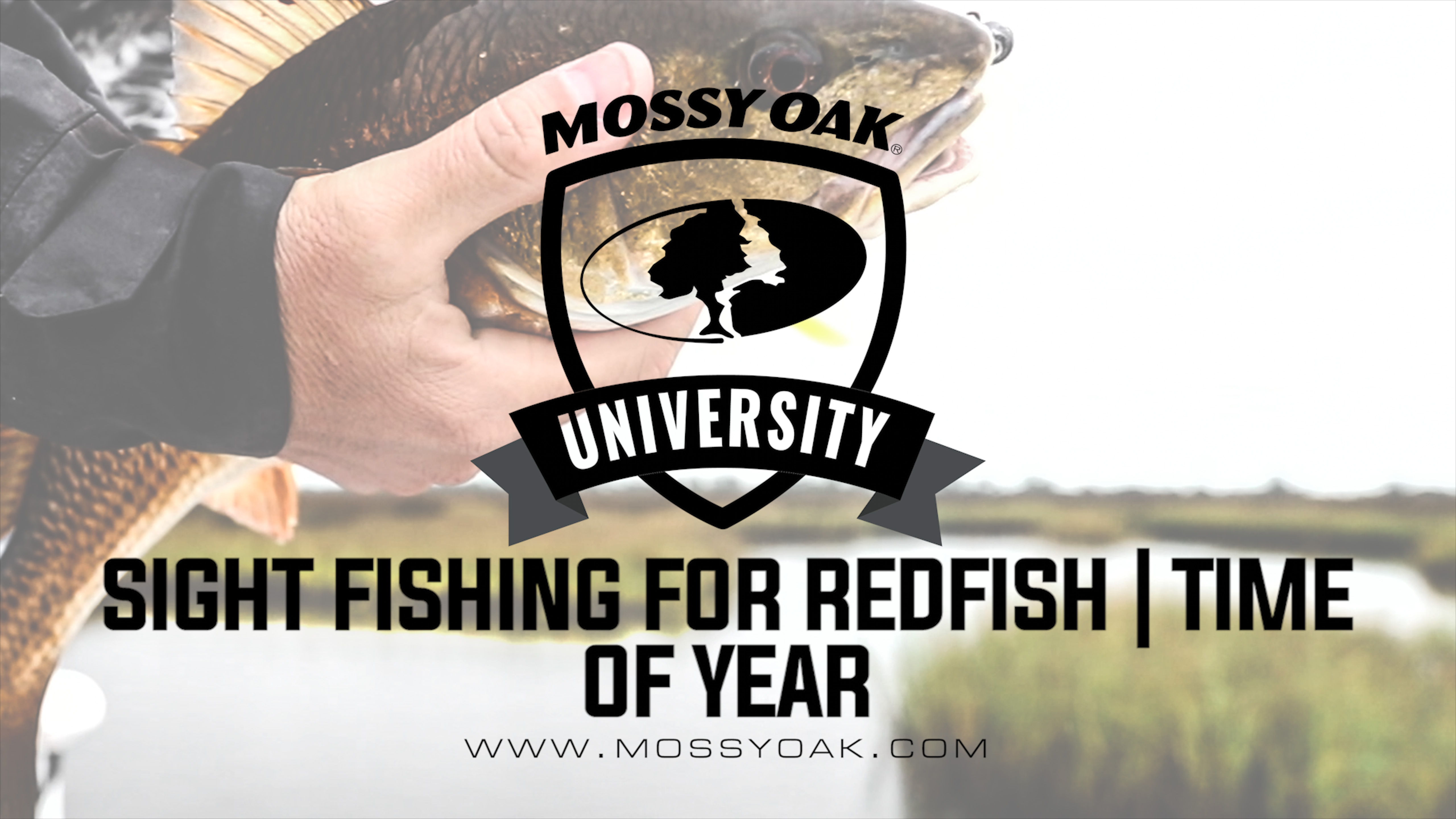 Best Time Of Year For Targeting Redfish | Inshore Fishing