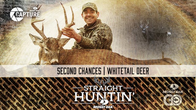 Second Chances • Whitetail Deer • Str...